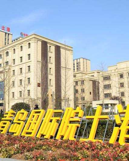 青岛国际院士港